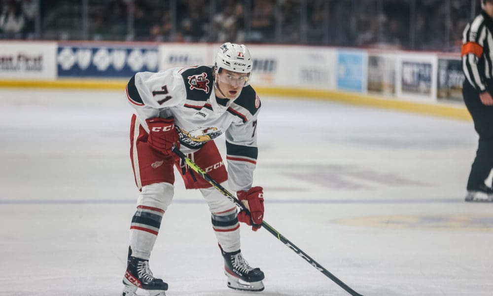 Cross Hanas, Red Wings prospect