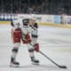 Cross Hanas, Red Wings prospect