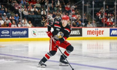 Simon Edvinsson, Red Wings