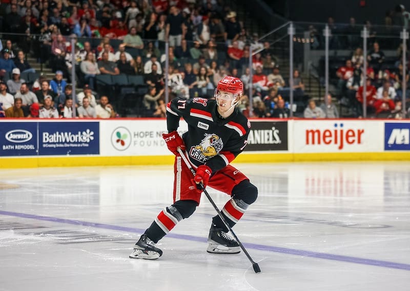 Simon Edvinsson, Red Wings