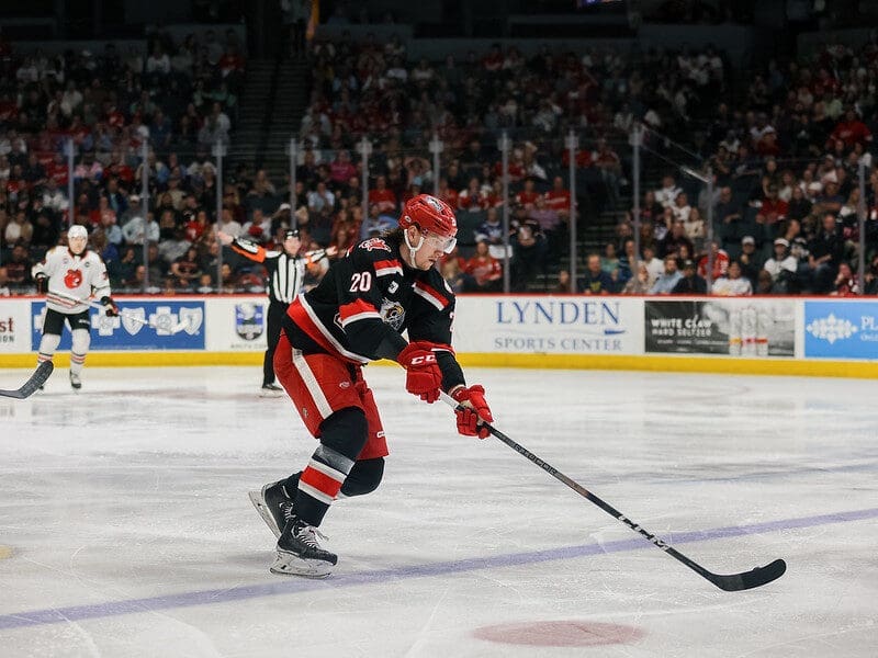 Elmer Soderblom, Red Wings