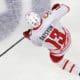 Pavel Datsyuk skating