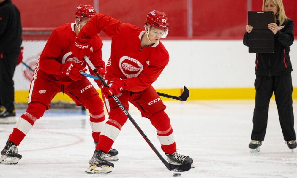 Noah Dower-Nilsson, Red Wings prospect