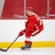 Amadeus Lombardi,, Red Wings prospect
