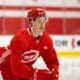 Anton Johnasson, Red Wings prospect