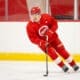 Axel Sandin Pellikka, Red Wings prospect