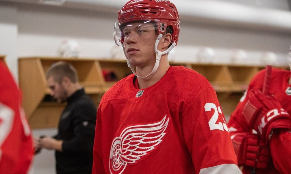 Lucas Raymond, Detroit Red Wings