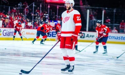 Michael Rasmussen, Detroit Red Wings
