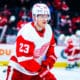 Lucas Raymond, Detroit Red Wings