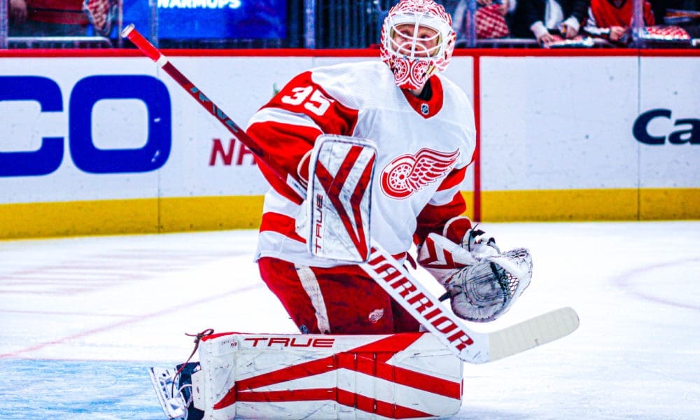 Ville Husso, Red Wings