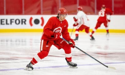 Red Savage, Red Wings prospect