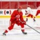 Red Savage, Red Wings prospect