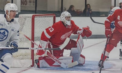 Sebastian Cossa, Red Wings