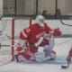 Sebastian Cossa, Red Wings