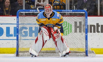 Jan Bednar, Walleye