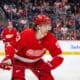 Moritz Seider, Red Wings