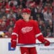 Jonatan Berggren, Red Wings