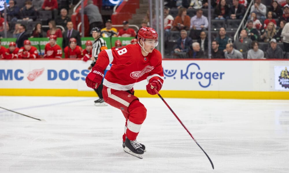 Gustav Lindstrom, Red Wings