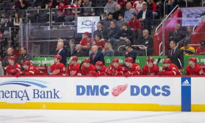 Red Wings bench