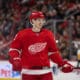 Dominik Kubalik, Red Wings