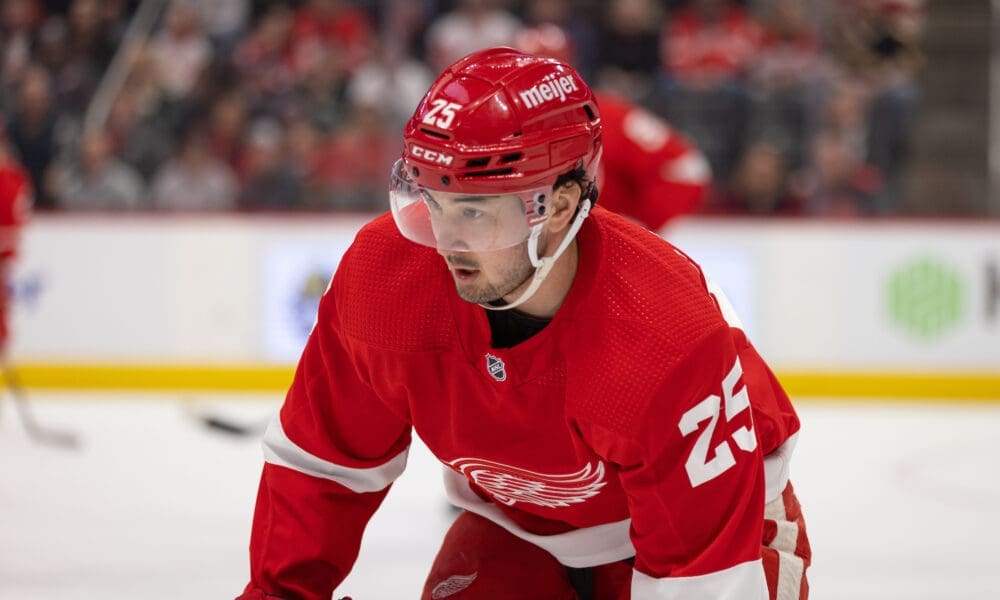 Taro Hirose, Red Wings