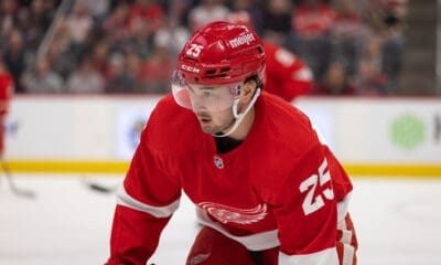 Taro Hirose, Red Wings