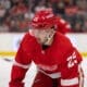 Taro Hirose, Red Wings