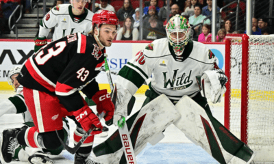 carter mazur, detroit red wings