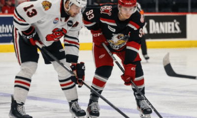 Amadeus Lombardi, griffins