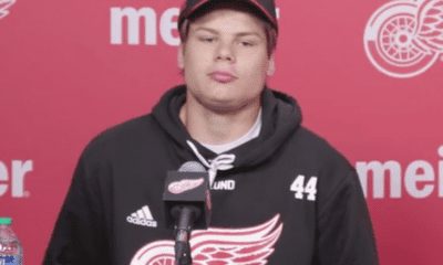 Charlie Forslund, Red Wings